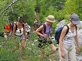 Dalmatinska zagora Hiking Week